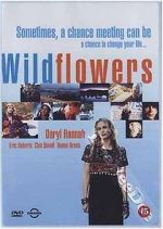Watch Wildflowers Xmovies8