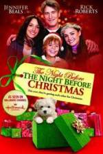 Watch The Night Before the Night Before Christmas Xmovies8