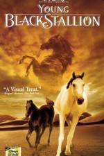 Watch The Young Black Stallion Xmovies8