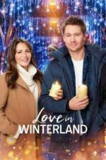 Watch Love in Winterland Xmovies8