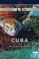 Watch Cuba: The Accidental Eden Xmovies8
