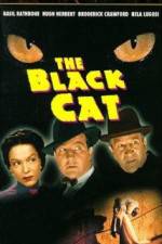 Watch The Black Cat Xmovies8