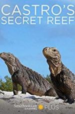 Watch Castro\'s secret reef Xmovies8