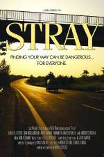 Watch Stray Xmovies8