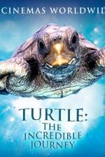 Watch Turtle The Incredible Journey Xmovies8