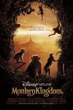 Watch Monkey Kingdom Xmovies8