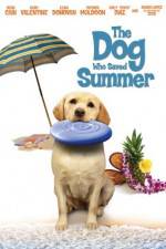 Watch The Dog Who Saved Summer Xmovies8