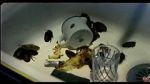 Watch Coup de lune (TV Short 2000) Xmovies8