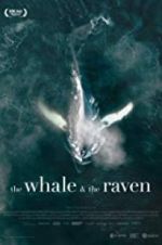 Watch The Whale and the Raven Xmovies8