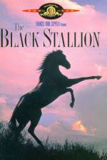 Watch The Black Stallion Xmovies8