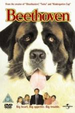 Watch Beethoven Xmovies8