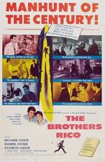 Watch The Brothers Rico Xmovies8