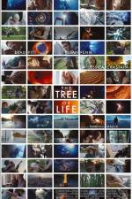 Watch The Tree of Life Xmovies8