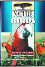 Watch PBS Nature - Extraordinary Birds Xmovies8