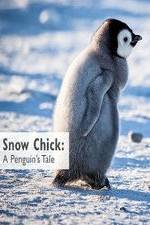 Watch Snow Chick: A Penguin's Tale Xmovies8