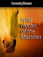 Watch Wild Horses of the Marshes Xmovies8