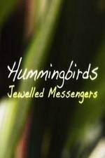Watch Hummingbirds Jewelled Messengers Xmovies8