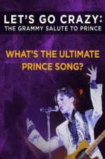 Watch Let\'s Go Crazy: The Grammy Salute to Prince Xmovies8