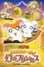 Watch Hamtaro: The Captive Princess Xmovies8