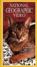 Watch Cats: Caressing the Tiger Xmovies8