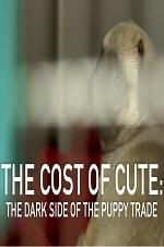 Watch The Cost of Cute: The Dark Side of the Puppy Trade Xmovies8