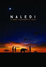 Watch Naledi: A Baby Elephant\'s Tale Xmovies8