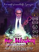 Watch The Mysterious Mr. Wizdom Xmovies8