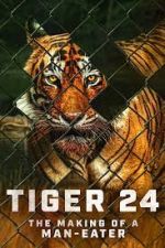 Watch Tiger 24 Xmovies8