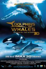 Watch Dolphins and Whales 3D Tribes of the Ocean Xmovies8