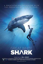 Watch Great White Shark Xmovies8