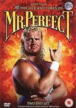 Watch The Life and Times of Mr. Perfect Xmovies8