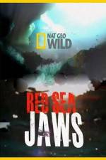 Watch National Geographic Red Sea Jaws Xmovies8