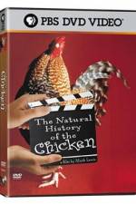 Watch The Natural History of the Chicken Xmovies8