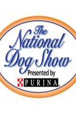 Watch National Dog Show Xmovies8