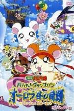 Watch Hamtaro Movie 3: Ham Ham Grand Prix Xmovies8