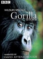 Watch Gorilla Revisited with David Attenborough Xmovies8