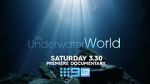 Watch My Underwater World (TV Special 2024) Xmovies8