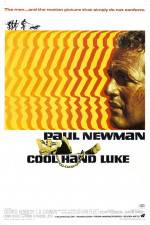 Watch Cool Hand Luke Xmovies8