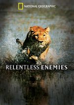 Watch Relentless Enemies Xmovies8
