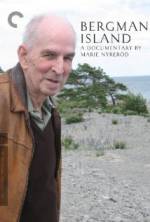 Watch Bergman Island Xmovies8