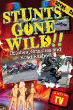 Watch Stunts Gone Wild: Crashes, Smashes & Road Rashes! Xmovies8