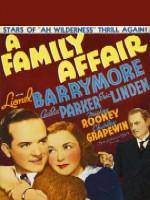 Watch A Family Affair Xmovies8