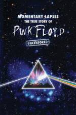 Watch Pink Floyd: Momentary Lapses - The True Story Of Pink Floyd Xmovies8