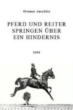 Watch Pferd und Reiter Springen ber ein Hindernis Xmovies8