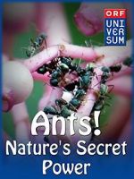 Watch Ants: Nature\'s Secret Power Xmovies8