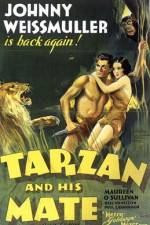 Watch Tarzan and His Mate Xmovies8