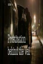 Watch Prostitution: Behind the Veil Xmovies8
