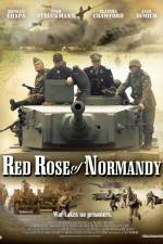 Watch Red Rose of Normandy Xmovies8