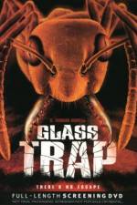 Watch Glass Trap Xmovies8