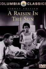 Watch A Raisin in the Sun Xmovies8